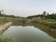 Water pit in the village